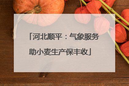 河北顺平：气象服务助小麦生产保丰收