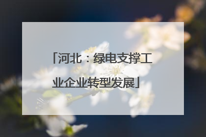河北：绿电支撑工业企业转型发展