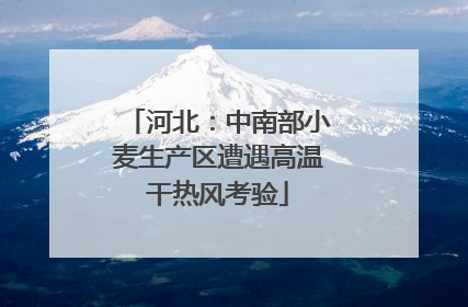 河北：中南部小麦生产区遭遇高温干热风考验