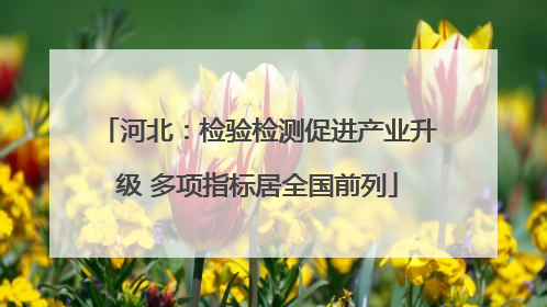 河北：检验检测促进产业升级 多项指标居全国前列