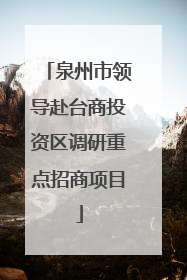 泉州市领导赴台商投资区调研重点招商项目