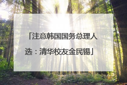 注意韩国国务总理人选：清华校友金民锡