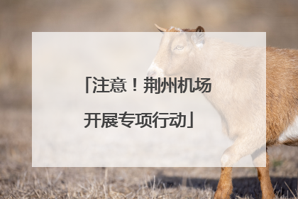 注意！荆州机场开展专项行动