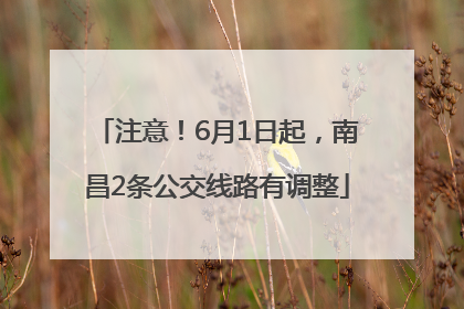 注意！6月1日起，南昌2条公交线路有调整