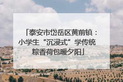 泰安市岱岳区黄前镇：小学生“沉浸式”学传统 粽香荷包暖夕阳