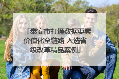 泰安市打通数据要素价值化全链路 入选省级改革精品案例