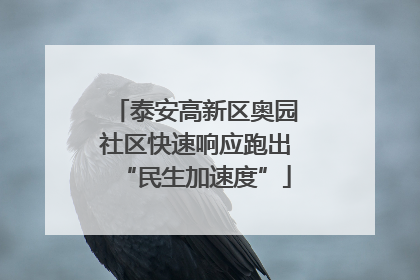 泰安高新区奥园社区快速响应跑出“民生加速度”