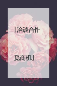 洽谈合作觅商机