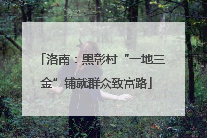 洛南：黑彰村“一地三金”铺就群众致富路