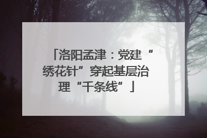 洛阳孟津：党建“绣花针”穿起基层治理“千条线”
