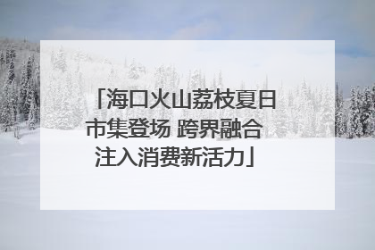 海口火山荔枝夏日市集登场 跨界融合注入消费新活力