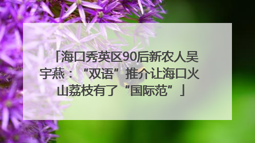 海口秀英区90后新农人吴宇燕：“双语”推介让海口火山荔枝有了“国际范”
