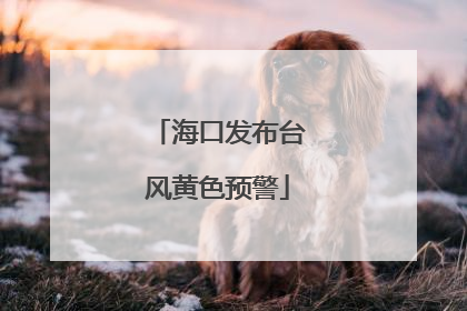 海口发布台风黄色预警