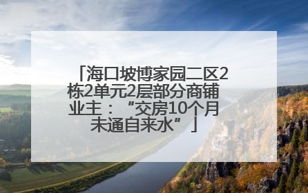 海口坡博家园二区2栋2单元2层部分商铺业主：“交房10个月未通自来水”