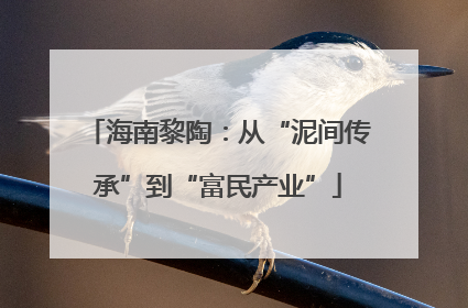 海南黎陶：从“泥间传承”到“富民产业”