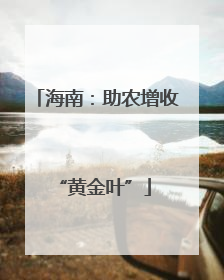 海南：助农增收 “黄金叶”