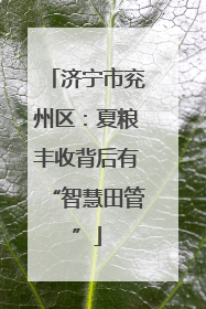 济宁市兖州区：夏粮丰收背后有“智慧田管”