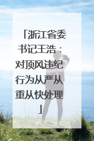 浙江省委书记王浩：对顶风违纪行为从严从重从快处理