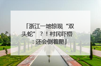 浙江一地惊现“双头蛇”？！村民吓懵：还会倒着爬