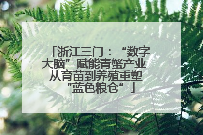 浙江三门：“数字大脑”赋能青蟹产业 从育苗到养殖重塑“蓝色粮仓”