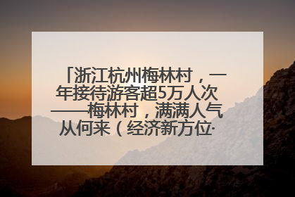 浙江杭州梅林村，一年接待游客超5万人次——梅林村，满满人气从何来（经济新方位·农村消费观察）