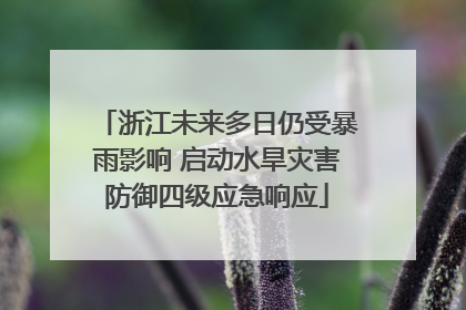 浙江未来多日仍受暴雨影响 启动水旱灾害防御四级应急响应