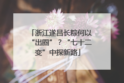 浙江遂昌长粽何以“出圈”？“七十二变”中探新路