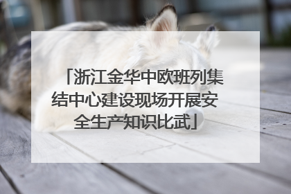 浙江金华中欧班列集结中心建设现场开展安全生产知识比武