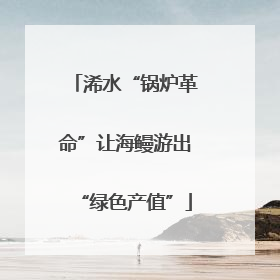 浠水“锅炉革命”让海鳗游出“绿色产值”