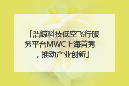 浩鲸科技低空飞行服务平台MWC上海首秀，推动产业创新