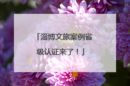 淄博文旅案例省级认证来了！