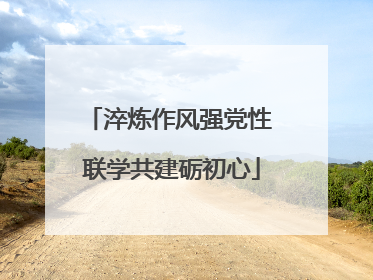 淬炼作风强党性 联学共建砺初心