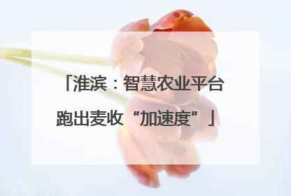 淮滨：智慧农业平台跑出麦收“加速度”
