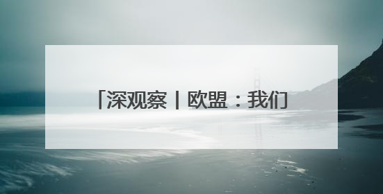 深观察丨欧盟：我们不怕与美国打关税战