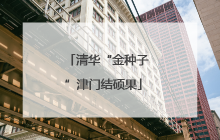 清华“金种子”津门结硕果