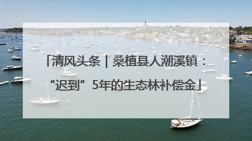 清风头条｜桑植县人潮溪镇：“迟到”5年的生态林补偿金