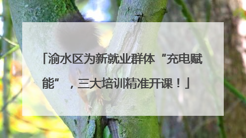 渝水区为新就业群体“充电赋能”，三大培训精准开课！