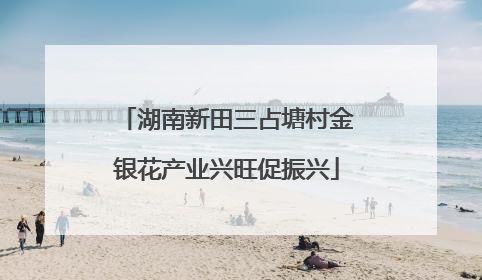 湖南新田三占塘村金银花产业兴旺促振兴