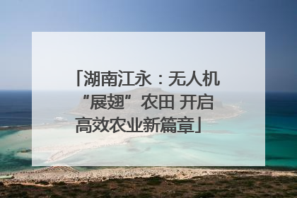 湖南江永：无人机“展翅”农田 开启高效农业新篇章