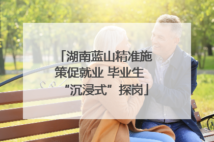 湖南蓝山精准施策促就业 毕业生“沉浸式”探岗