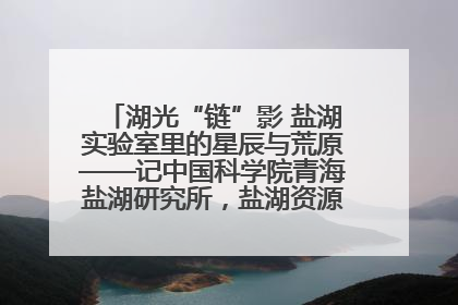 湖光“链”影 盐湖实验室里的星辰与荒原——记中国科学院青海盐湖研究所，盐湖资源化学实验室党总支书记、副主任刘忠