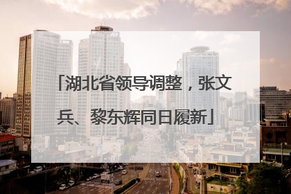 湖北省领导调整，张文兵、黎东辉同日履新