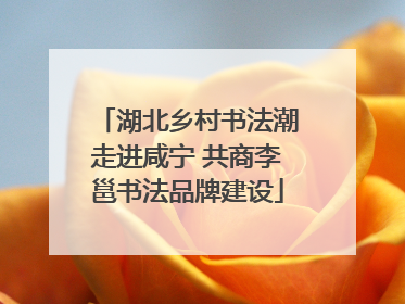 湖北乡村书法潮走进咸宁 共商李邕书法品牌建设