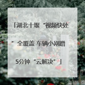 湖北十堰“视频快处”全覆盖 车辆小剐蹭5分钟“云解决”