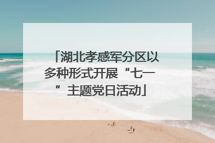 湖北孝感军分区以多种形式开展“七一”主题党日活动