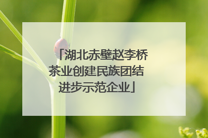 湖北赤壁赵李桥茶业创建民族团结进步示范企业
