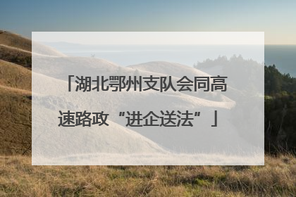 湖北鄂州支队会同高速路政“进企送法”