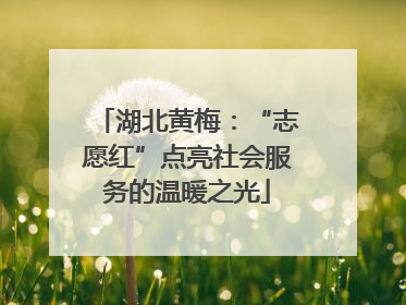 湖北黄梅：“志愿红”点亮社会服务的温暖之光