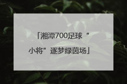 湘潭700足球“小将”逐梦绿茵场