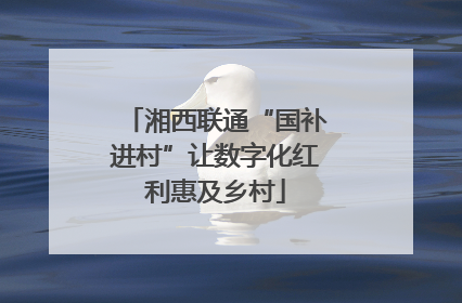 湘西联通“国补进村”让数字化红利惠及乡村